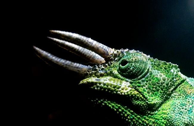 image02